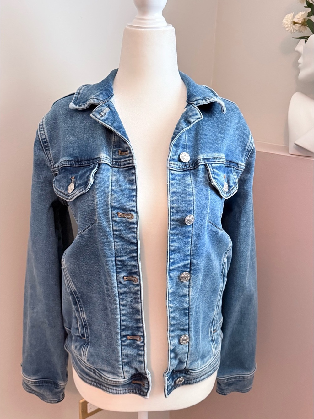 Express Small Women’s Classic Light Blue Spring Fall Denim Vacation Jean Jacket